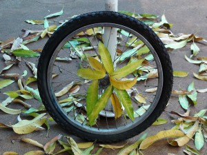 wheel-508985_1280